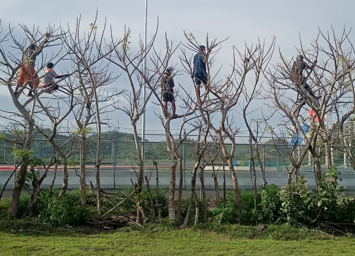 Serba-serbi Nonton IATC di Mandalika, Naik Mobil Proyek-Nangkring di Pohon