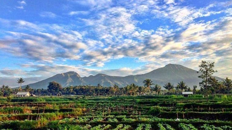 Tete Batu Gagal Juara UNWTO Tourism VIllage Award, Kadispar NTB: Jangan Berkecil Hati