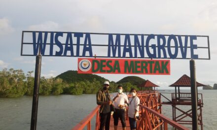 Daya Tarik Baru, Wisata Bahari Mertak suguhkan Tracking Mangrove