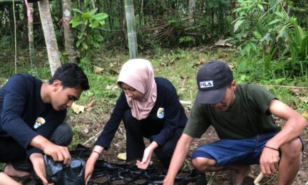 Tingkatkan Kemandirian Pangan Masyarakat, Mahasiswa KKN UNRAM Adakan Rumah Sayur Organik