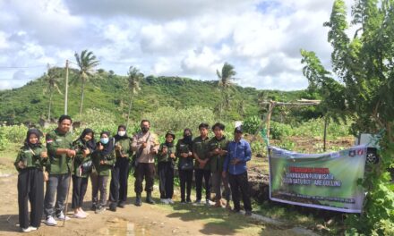 Peduli Lingkungan, Mahasiswa KKN Unram Lakukan Penanaman Pohon di Kawasan Pantai Are Guling Tumpak