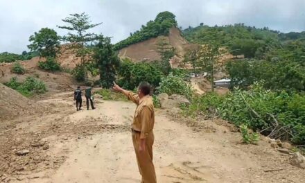 Pengerukan bukit jadi galian C di Kawasan Mandalika, Satwa Liar turun ke Hotel ganggu tamu