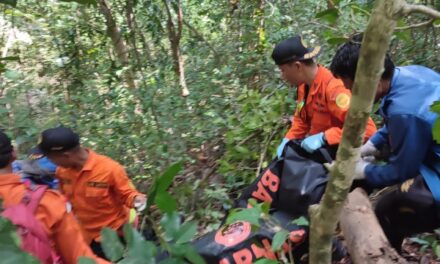 Lima hari hilang, Pencari madu asal Sambelia ditemukan tak bernyawa