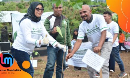 Peduli Lingkungan, PELNI Ajak Tanam Ribuan Pohon Kemiri di Kota Bima