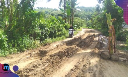 Dibalik Euforia Mandalika, Jalan Kabupaten di Desa Sengkol-Pujut bikin warga merana