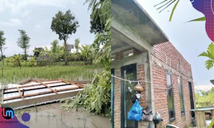 Diterbangkan angin saat hujan, Atap rumah warga Kawo mendarat di tengah sawah