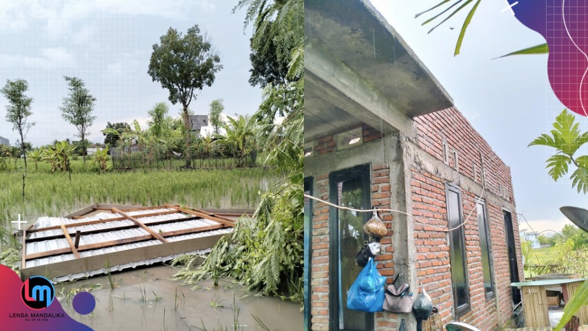 Diterbangkan angin saat hujan, Atap rumah warga Kawo mendarat di tengah sawah