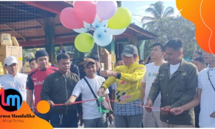 Milad ke-16, Wakil Bupati Lombok Tengah Buka Kegiatan Jalan Sehat Formula di Alun-Alun Tastura