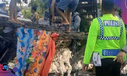 Pecah Ban, Mobil Pick up pengangkut Ayam Potong Terguling di Bypass Lombok Barat