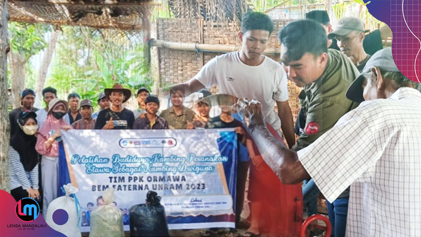 Mahasiswa Peternakan Unram Latih Warga Sakra Barat Tingkatkan Produksi Susu Kambing PE