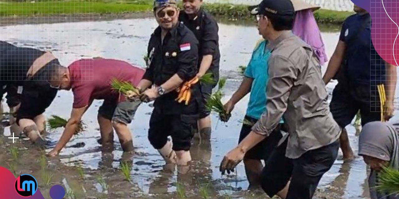 Menteri Pertanian Ingatkan Soal Caplok Lahan, Ancamannya Penjara!