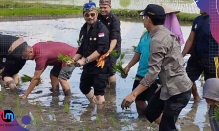 Menteri Pertanian Ingatkan Soal Caplok Lahan, Ancamannya Penjara!