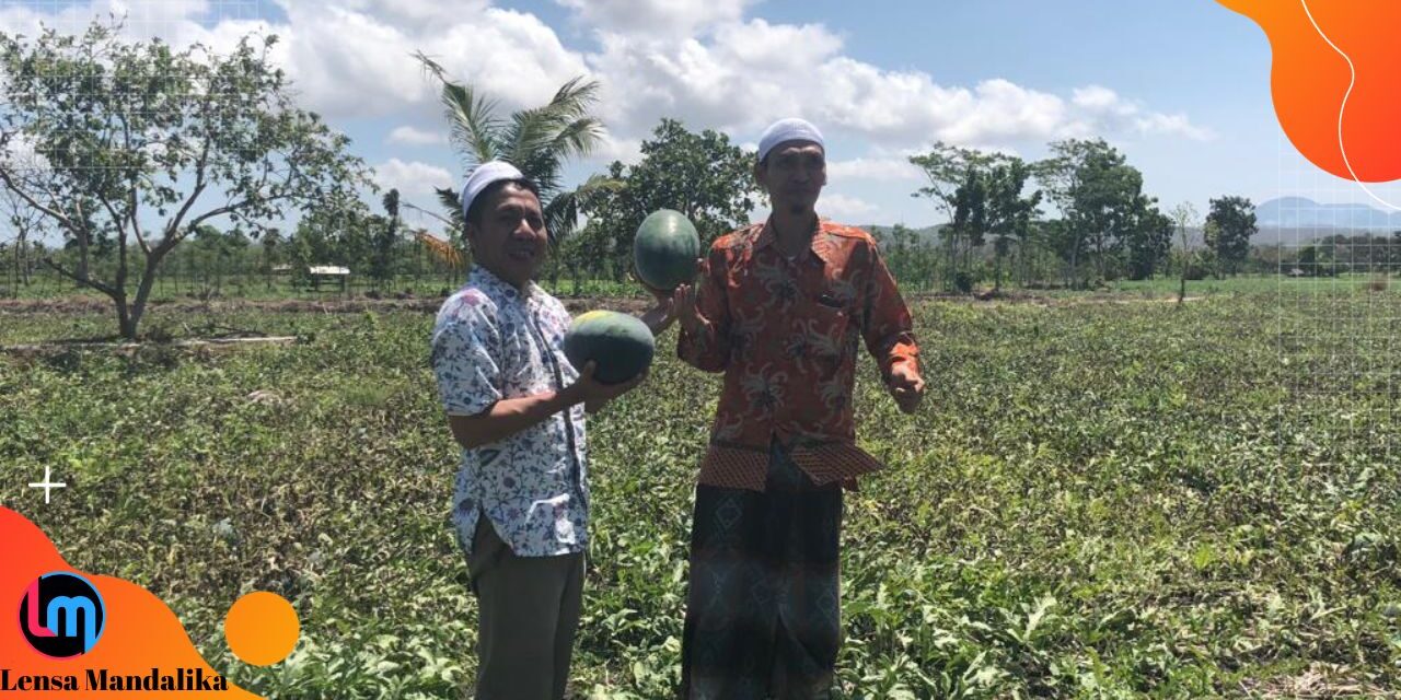 Berdayakan Ekonomi Umat, Sulhan Muchlis Gagas Pekan Festival UMKM Berbasis Pondok Pesantren