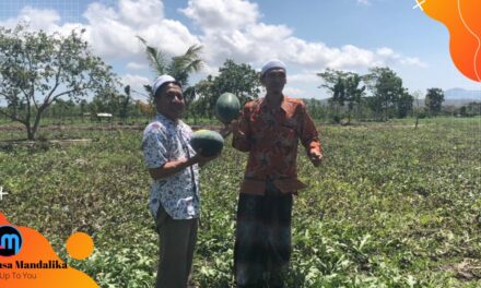 Berdayakan Ekonomi Umat, Sulhan Muchlis Gagas Pekan Festival UMKM Berbasis Pondok Pesantren