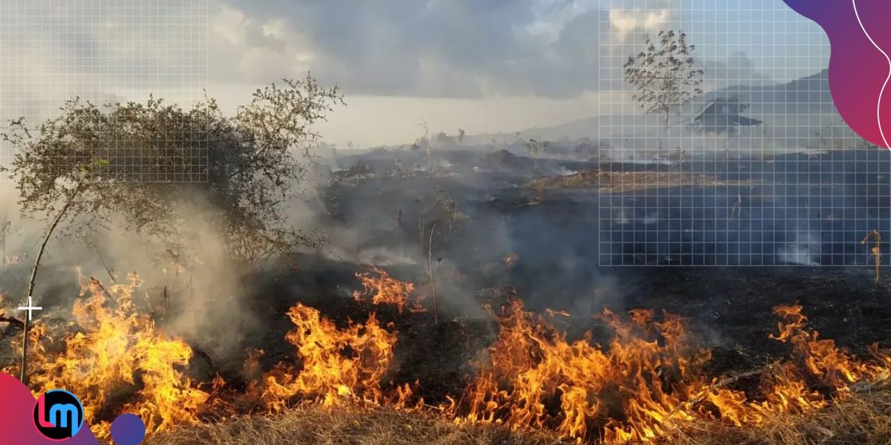 Makin Meluas, Kebakaran di Hutan Rinjani Capai 95 Hektare