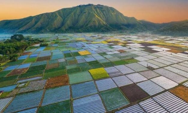 Suasana Kondusif, Wisata Sembalun Sangat Aman Dikunjungi Wisatawan