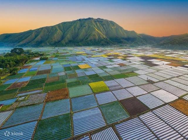 Suasana Kondusif, Wisata Sembalun Sangat Aman Dikunjungi Wisatawan