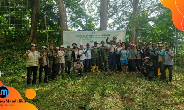 Kolaborasi Balai KPH Maria Donggo Masa dan PT Pelni Bima Adakan Penghijauan Kurangi Resiko Bencana