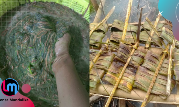 Dapat Banyak di ‘Lampak Due’, Warga Sebut Nyale ‘Tumpah’ sebelum hari H