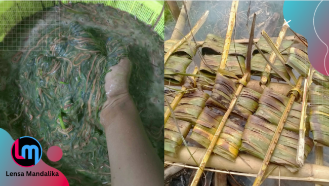 Dapat Banyak di ‘Lampak Due’, Warga Sebut Nyale ‘Tumpah’ sebelum hari H