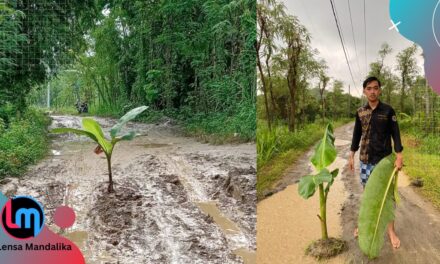 Kami juga Lombok Tengah, Kami berhak atas Jalan yang Layak!