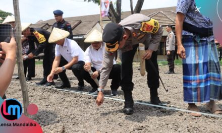 Perkuat Ketahanan Pangan, Polda NTB Tanam Padi dan Jagung Bersama Warga