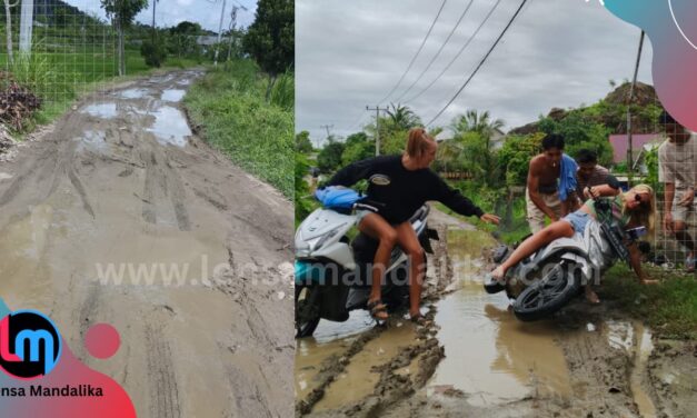 Kades di Pujut Minta Pemkab Loteng adil tangani jalan Kabupaten, Jangan Tunggu Viral baru Perbaikan